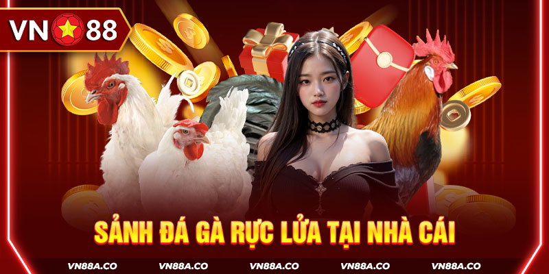 Sảnh đá gà rực lửa tại nhà cái