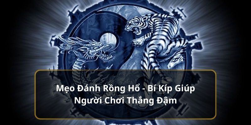 Đặt cược 3 mặt rồng hổ theo chu kỳ mang lại hiệu quả cao